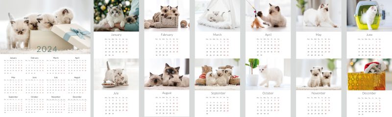 A photo calendar with cute cats as the main photo of every month laid out.